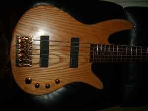 Warmoth 6-string FOR SALE