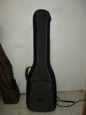 FS: Reunion Blues Bass Gigbag (heavy duty) $125 shipped