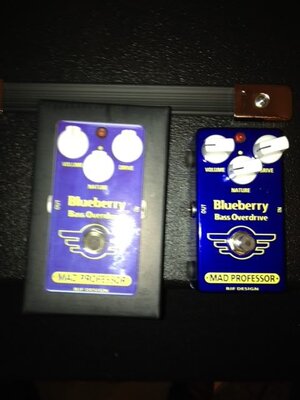 FS: Mad Professor Blueberry Bass OD