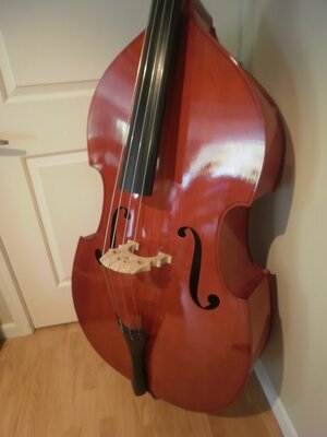 7/8 Upright bass with Ebony Fingerboard and laminated top. Perfect for the Northeast!