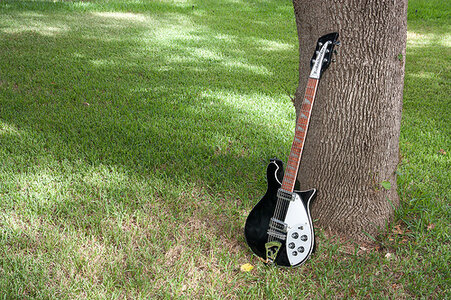 Rickenbacker 620 & Fender Blackout Telecaster