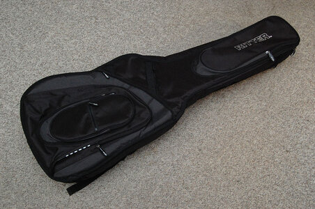 FS/FT: Ritter Double gig bag ...trade for mono single?