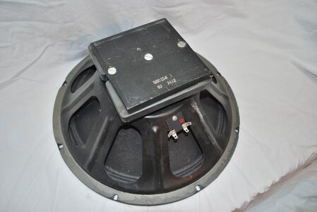 Vintage Ampeg B25B 15" Speakers