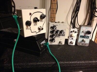 Mooer reecho, EHX Freeze, infanem Second Voice, moog EP-2, Mntrl Assm