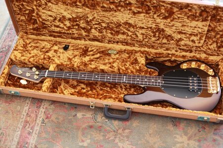 FT Music Man Sting Ray LE 2008 Sequoia Gold... MUST SEE!!!