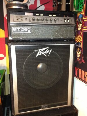 Fs local pick-up Baltimore Ampeg B-25b and pv15" $299 local pickup