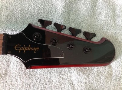 FS - Epi T-Bird Neck