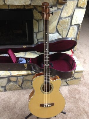 FS: Carvin Acoustic Cobalt C450