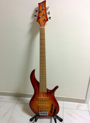 FS only: Fbass BN5 Autumn Burst $2400 shipped