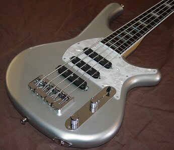 Stambaugh Custom Five String (Price Drop)