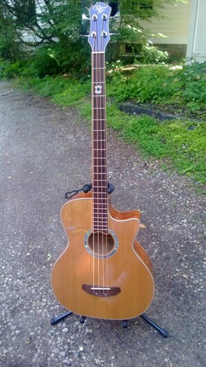 Michael Kelly Club Custom 4 String Acoustic Bass with HSC