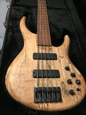 MTD 534-24 Spalted Maple