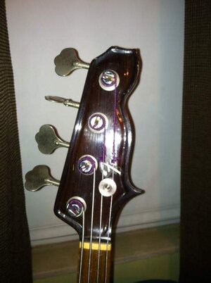 FF headstock.jpg