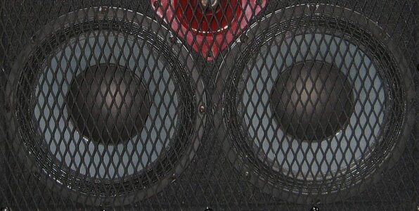 Pair of Eminence Deltalite Neo 2510 16ohm 10" Speakers for 8ohm 10" Neo