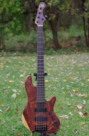 Elrick Gold NJS (MIA) 5 String, Burl top