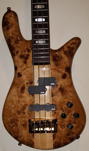 Spector Euro4LX Poplar Burl