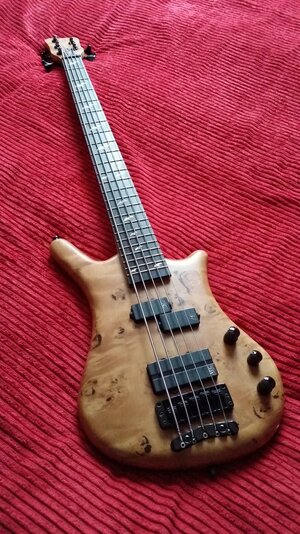 Warwick Dirty Blonde 5 string - pricedrop to 1100 GBP / 1430 EUR