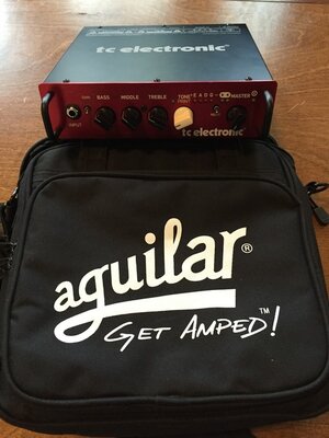 BH250 Head in Aguilar 350 bag