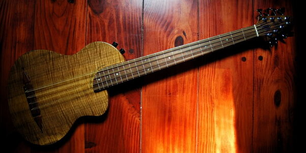 Fretless Eight String (4x2) Turner Renaissance