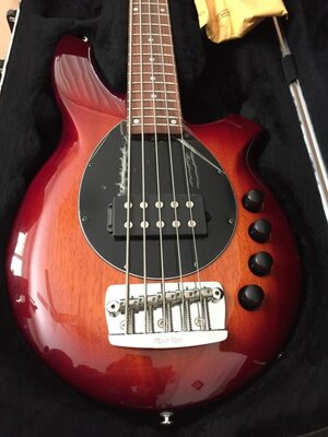 Ernie Ball Musicman PDN Limited Edition Bongo 5H Mint