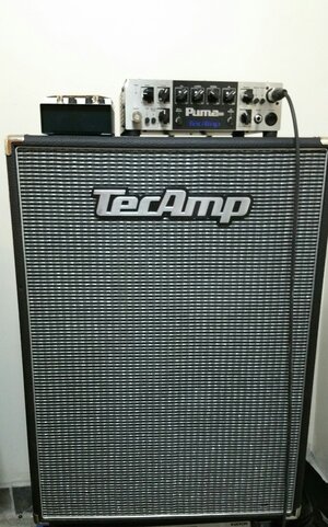 Tecamp Puma 1000 and Tecamp M212 Cabinet package deal