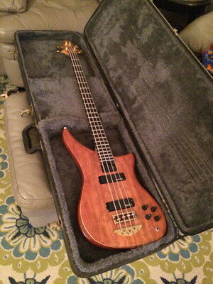 Alembic Epic 4 string socal