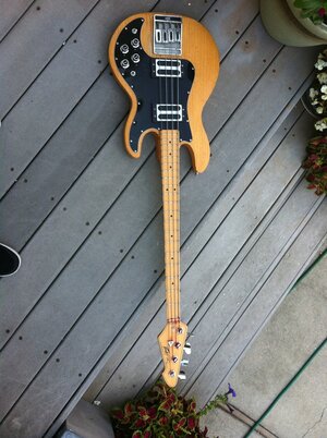 Peavey T-40 natural