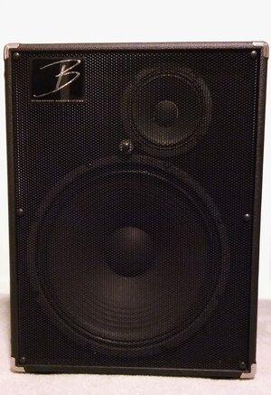 Bergantino NV115 1x15 Speaker Cabinet