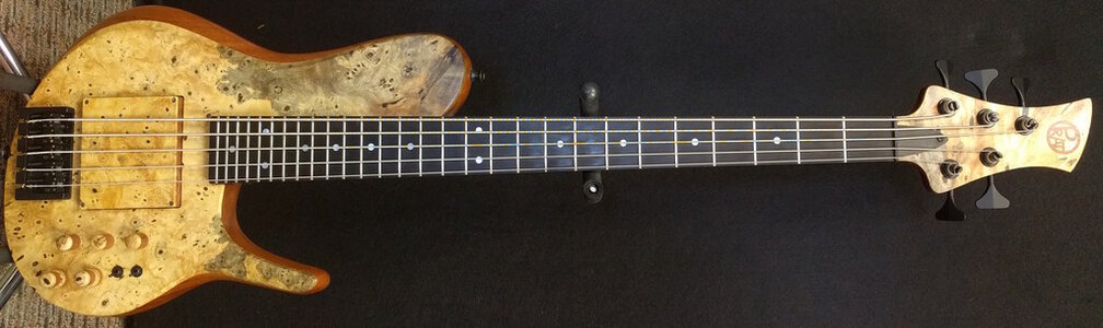 Prat M-BSV - 5 string, 33" scale, singlecut bolt-on, buckeye