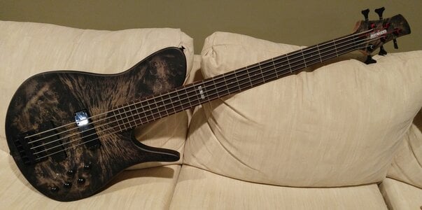 BLOWOUT $299! Really Nice 5 String w 5 Piece Neck / Burl Top - Kraken!!