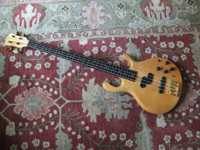 Pedulla Buzz fretless