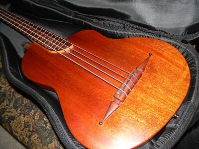 Rick Turner Renaissance fretless RB4 - standard/mahogany