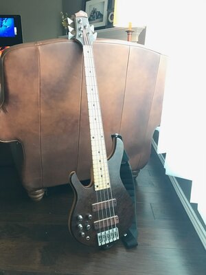 Left handed R bass Ray Roger 5 string