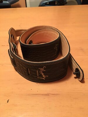 Moody 2.5 limited artist edition strap