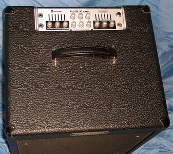 FS/FT: Mesa Boogie Walkabout Scout 15" Combo Cab