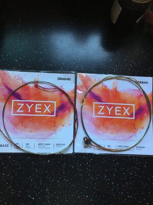 Zyex medium D&G