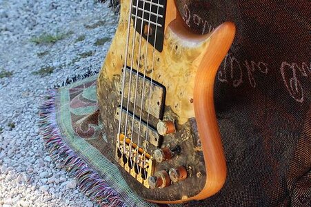 Amazing Custom Warrior DM Buckeye Burl Loaded