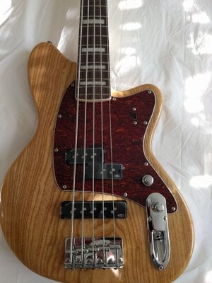 Ibanez Talman TBM 605