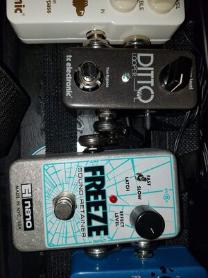 Electro Harmonic,  Freeze Nano pedal