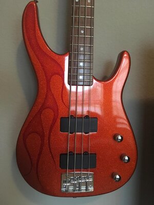 90s USA Peavey Foundation with custom paint job