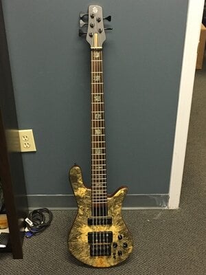 Spector NS-5H2 - Buckeye Burl