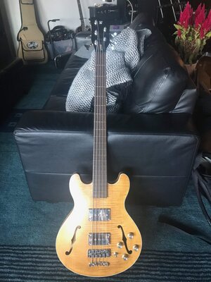 Warwick German Star 5 string bass - Gorgeous