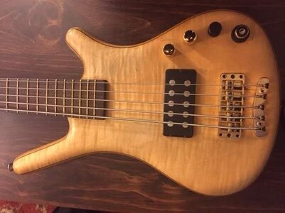 Warwick FNA 5 string -  new pics added