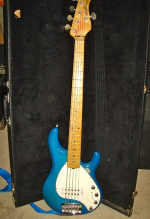 1989 Musician Stingray 5