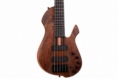 Ash Instruments 2017 Amazing 5 String Singlecut Bass. SALE PRICE!