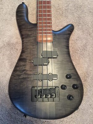 Spector Forte 4 with Darkglass Tone Capsule