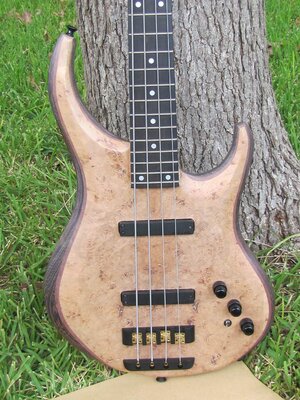 SOLD! Custom Crafted in Austin, TX - 5 String Maple Burl/Purpleheart/Wenge - Delano, Audere Pre