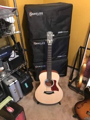 Taylor acoustic mini-bass