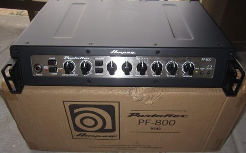 Ampeg PF-800 Minty!