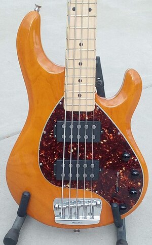 Price Drop!  Music Man Stingray 5 V HH Bass, Mint!